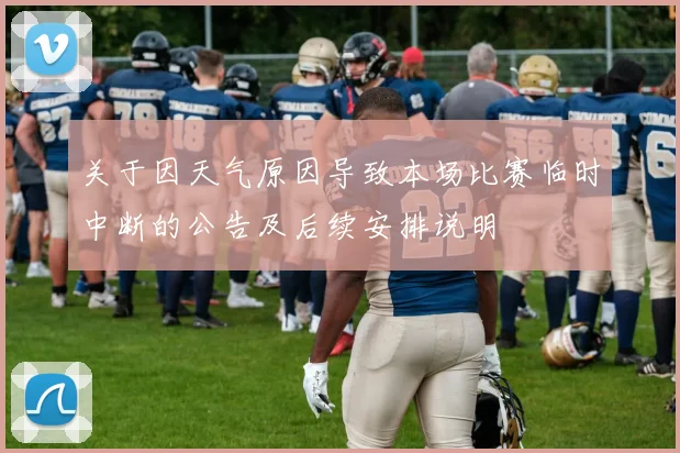 关于因天气原因导致本场比赛临时中断的公告及后续安排说明